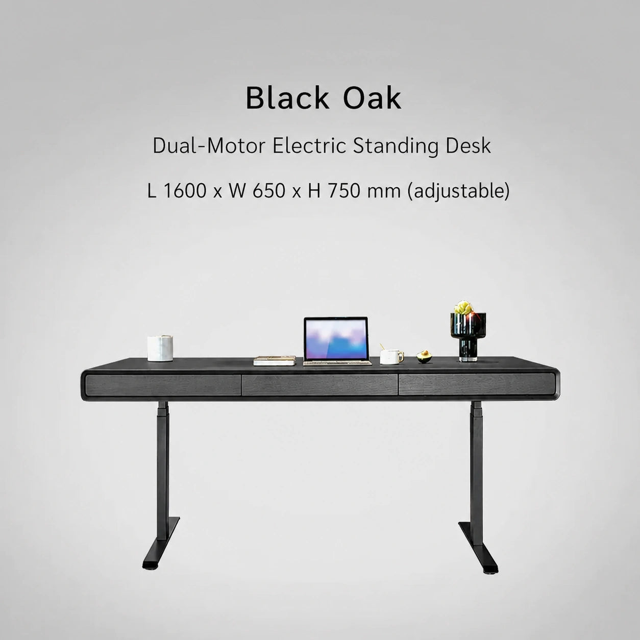 black oak dual motor electric standing desk 1600 x 650 x 750 mm