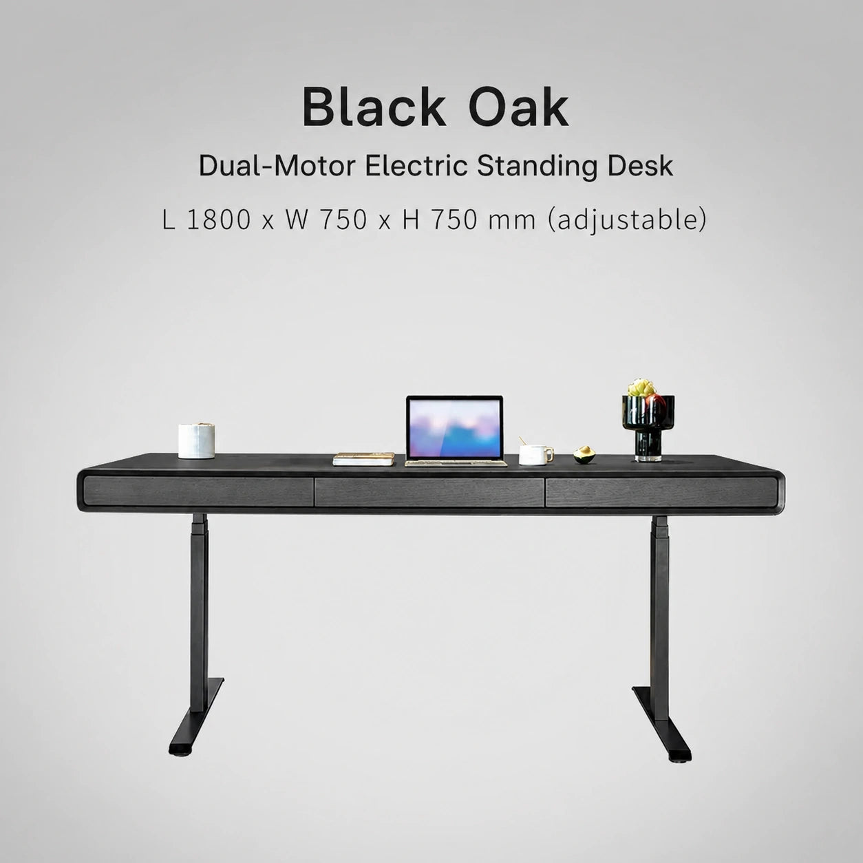 black oak dual motor electric standing desk 1800 x 750 x 750 mm