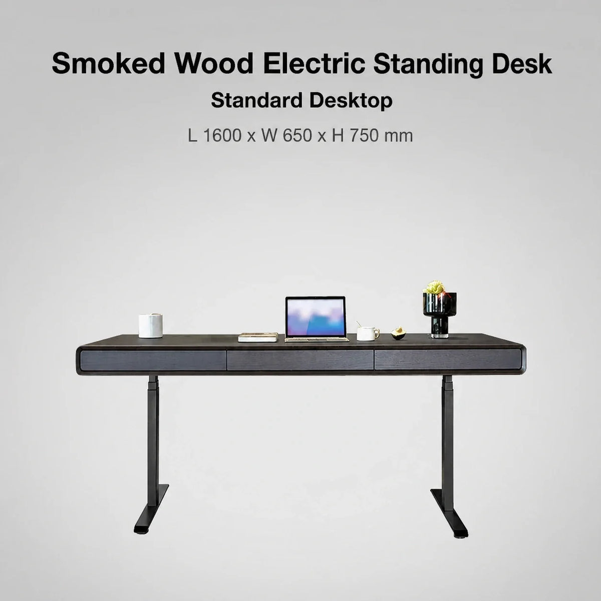 Smoked wood standard electric standing desk in 1600 x 650 x 750 mm size
