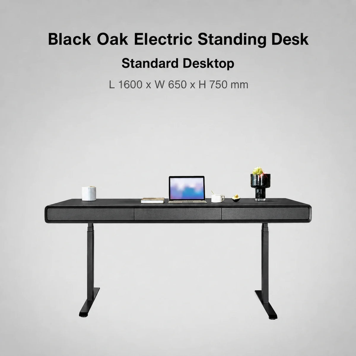 Black oak standard electric standing desk in 1600 x 650 x 750 mm size
