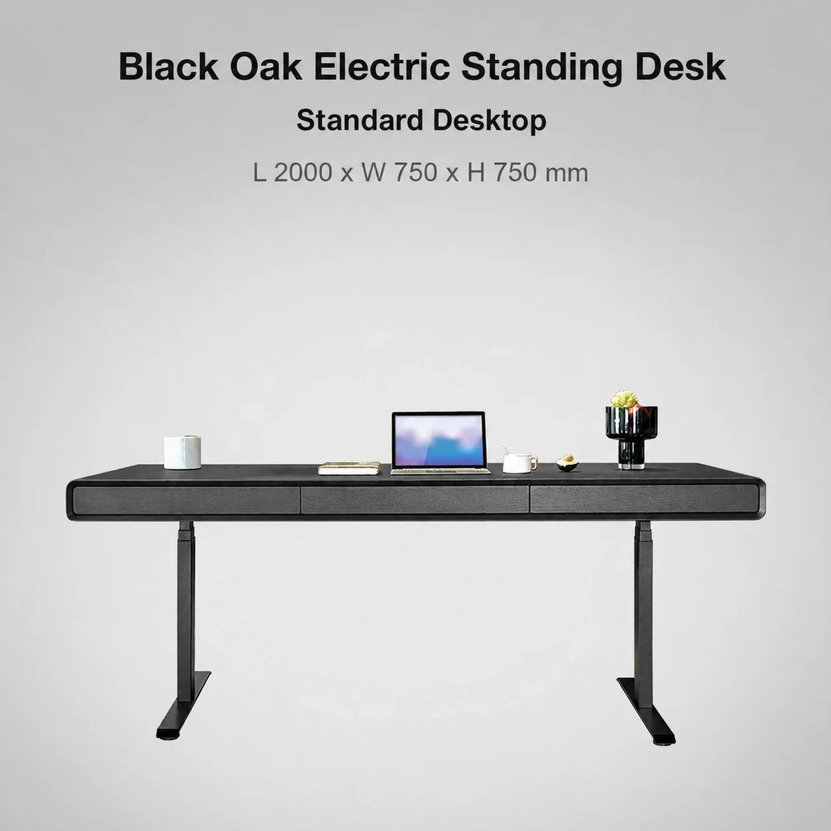 Black oak standard electric standing desk in 2000 x 750 x 750 mm size