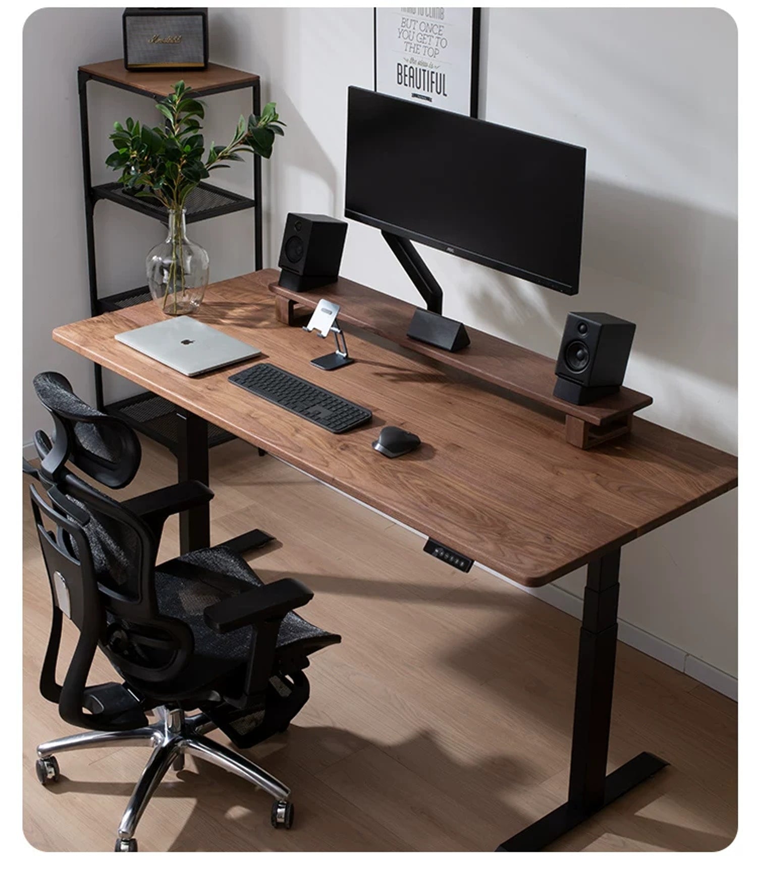 Compact Solid Black Walnut Electric Standing Desk black walnut desktop and steel frame