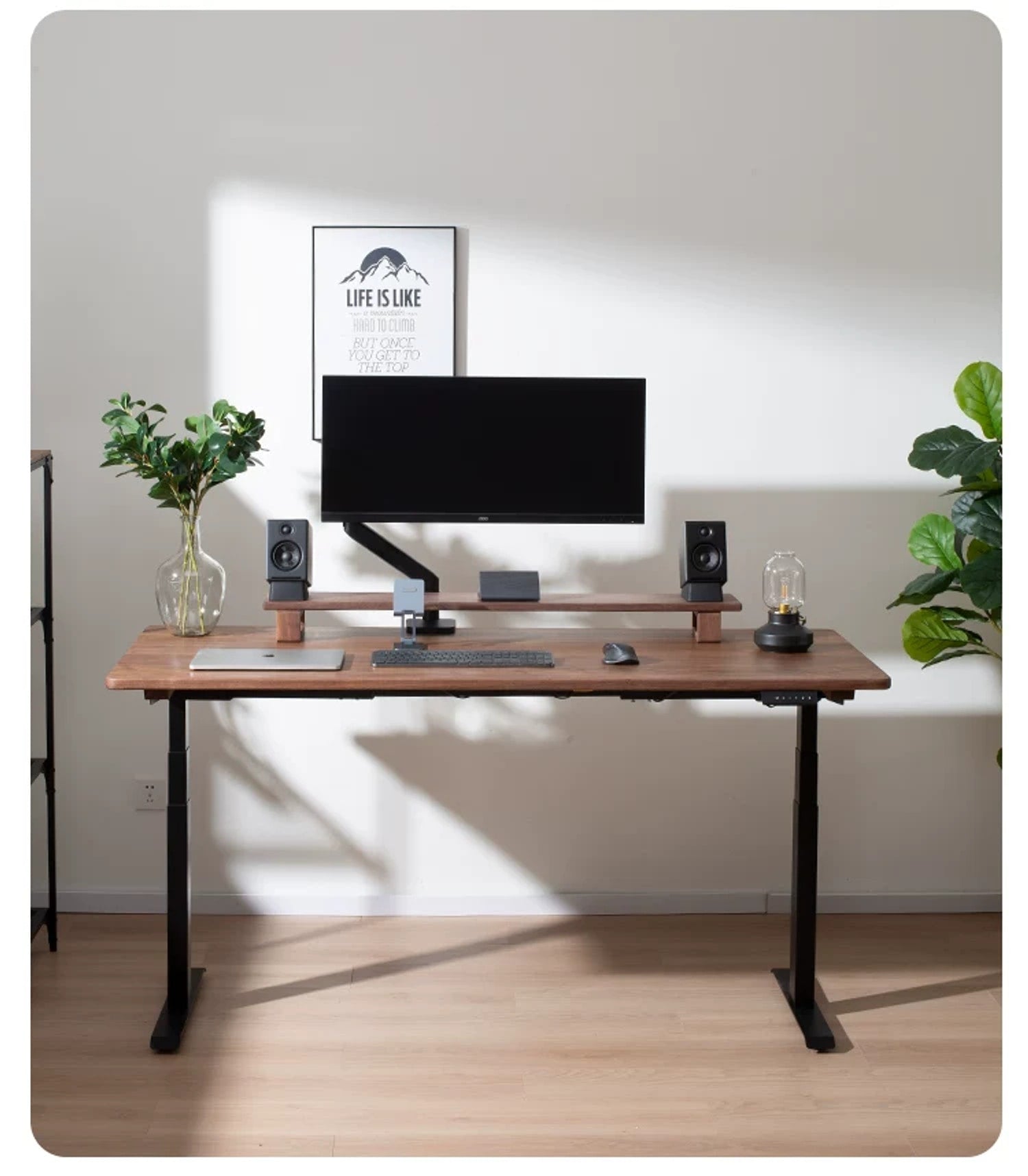Compact Solid Black Walnut Electric Standing Desk sit-stand workspace
