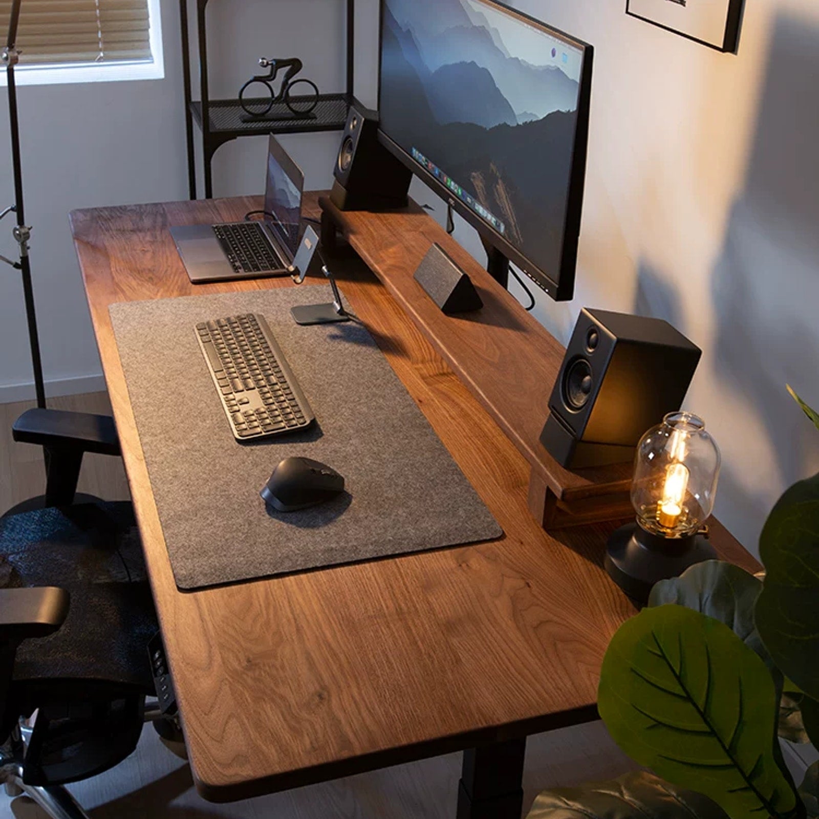Compact Solid Black Walnut Electric Standing Desk configured as a study workstation