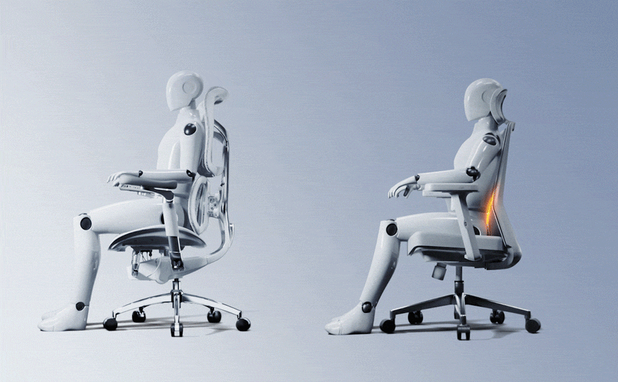 Dual Lumbar Support Fit for Every Body