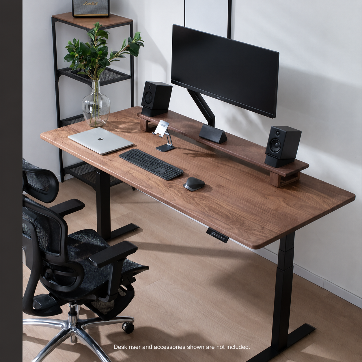 Solid Black Walnut Electric Standing Desk - Dual or Four Motor option image 02