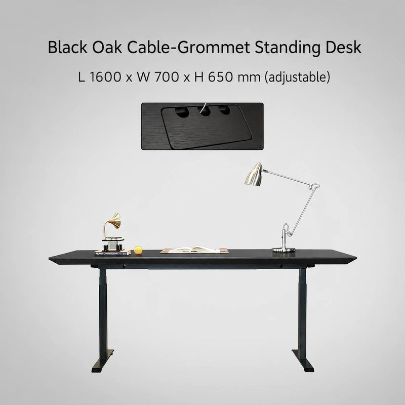 Black oak cable-grommet electric standing desk, 1600 x 700 x 650 mm