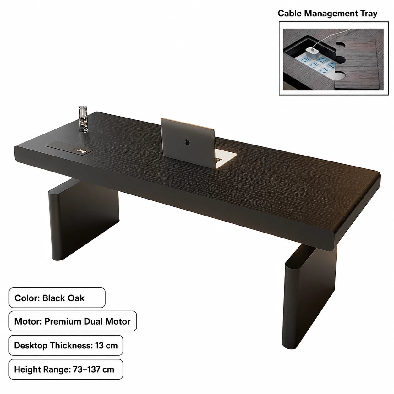 black oak dual motor standing desk with cable management tray
