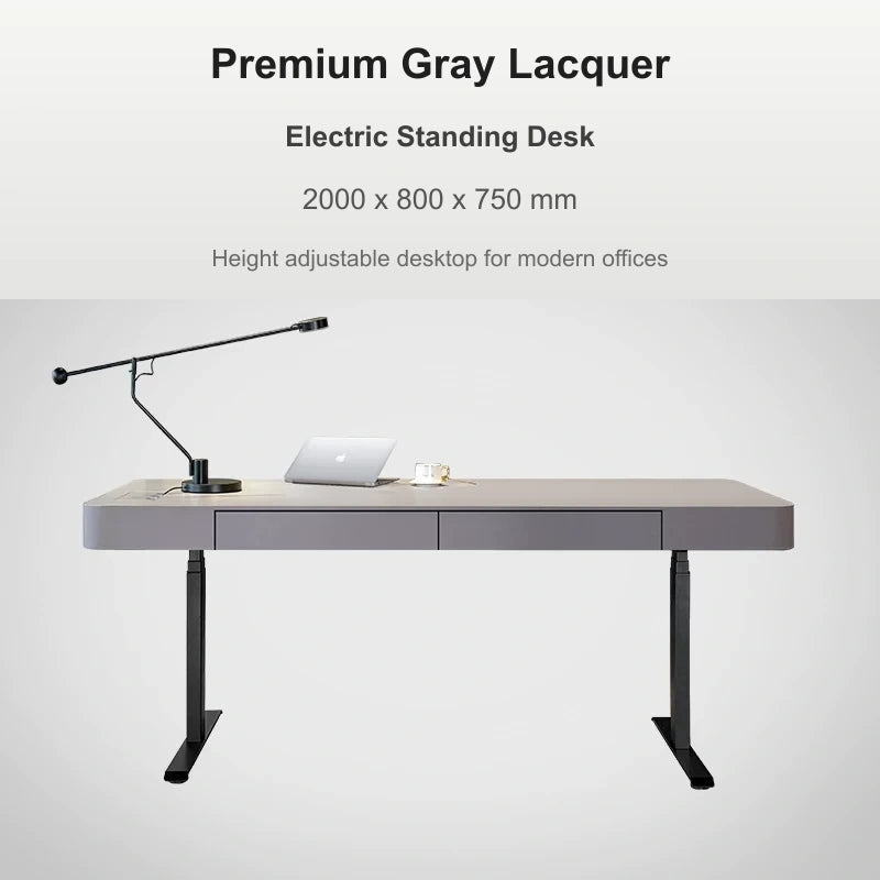 premium gray electric standing desk 2000 x 800 x 750 mm variant image
