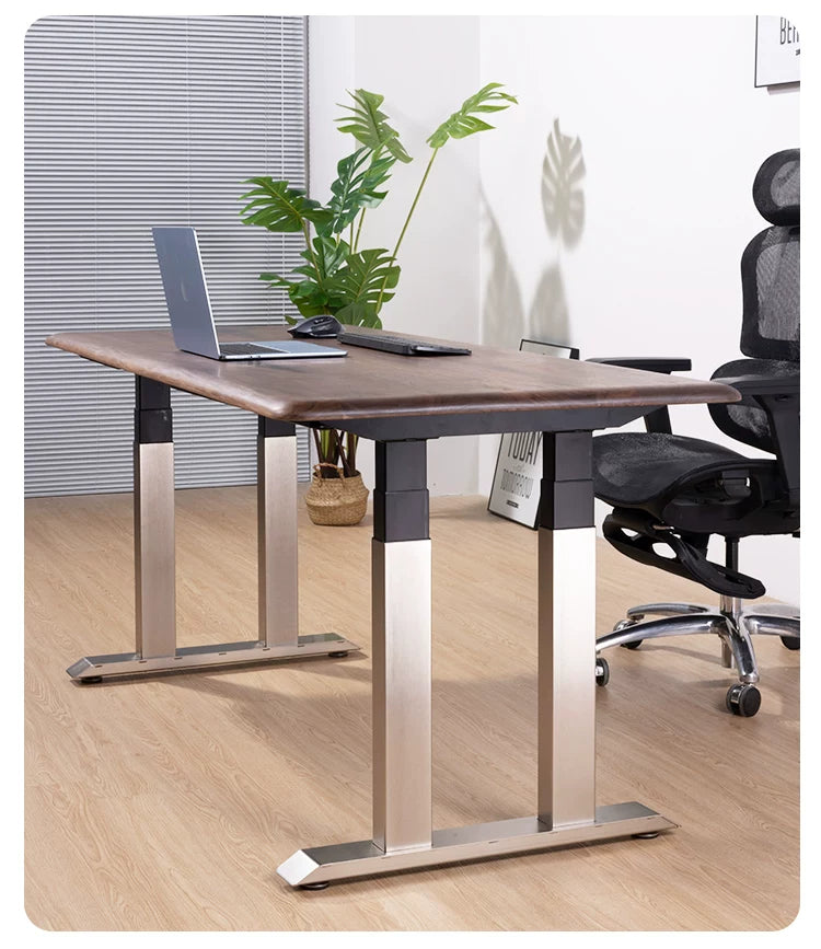 Solid Black Walnut Stainless-Look Electric Standing Desk four-motor angle view