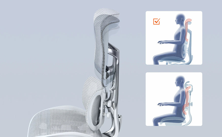 Full-Back Comfort for Every Stature