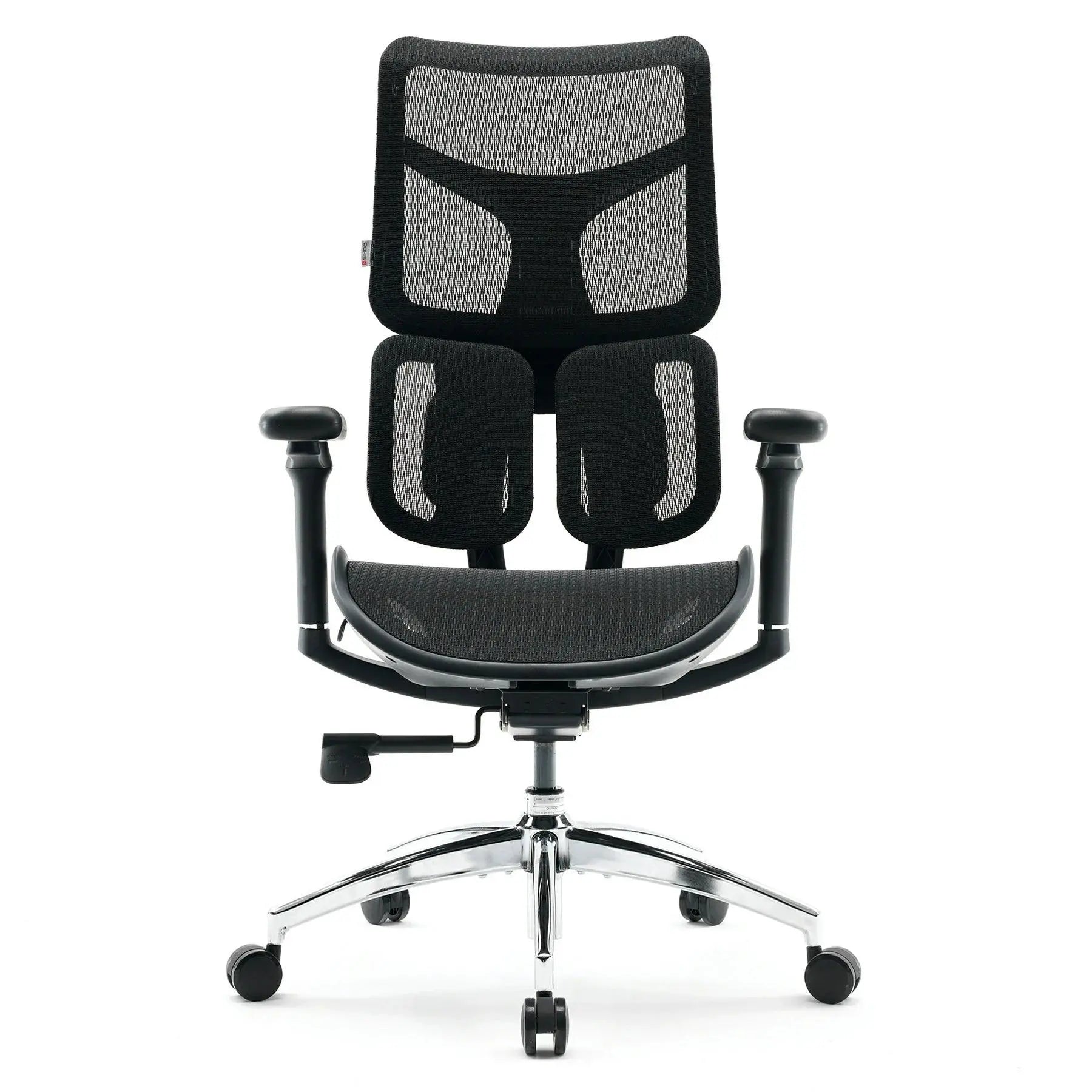 Ergonomic Office Chair - Dual Dynamic Lumbar Support Mesh Desk Chair with 4D Adjustable Armrests, Comfortable High Back Computer Chair for Back Pain Relief