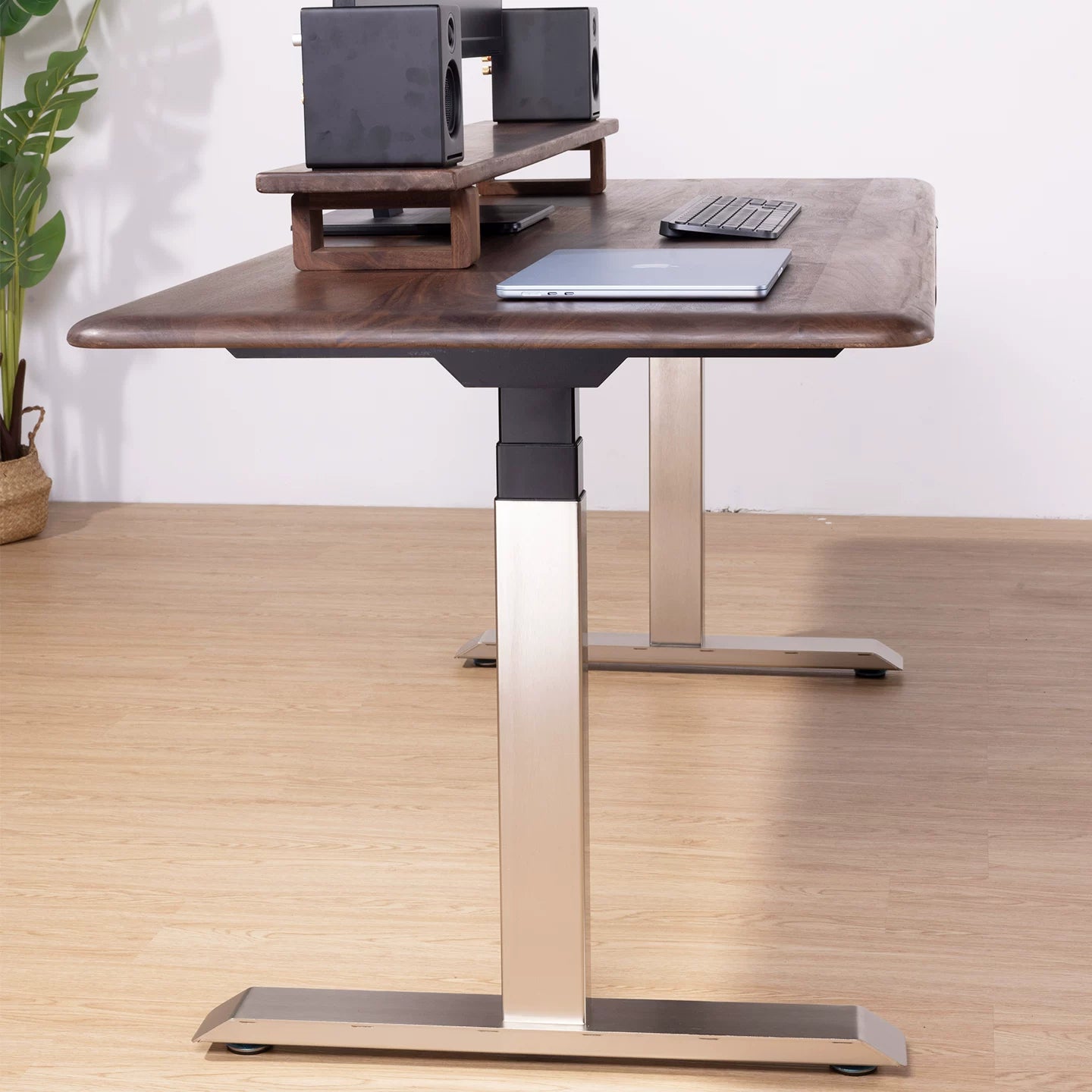 Solid Black Walnut Electric Standing Desk with Dual or Four Motors product view