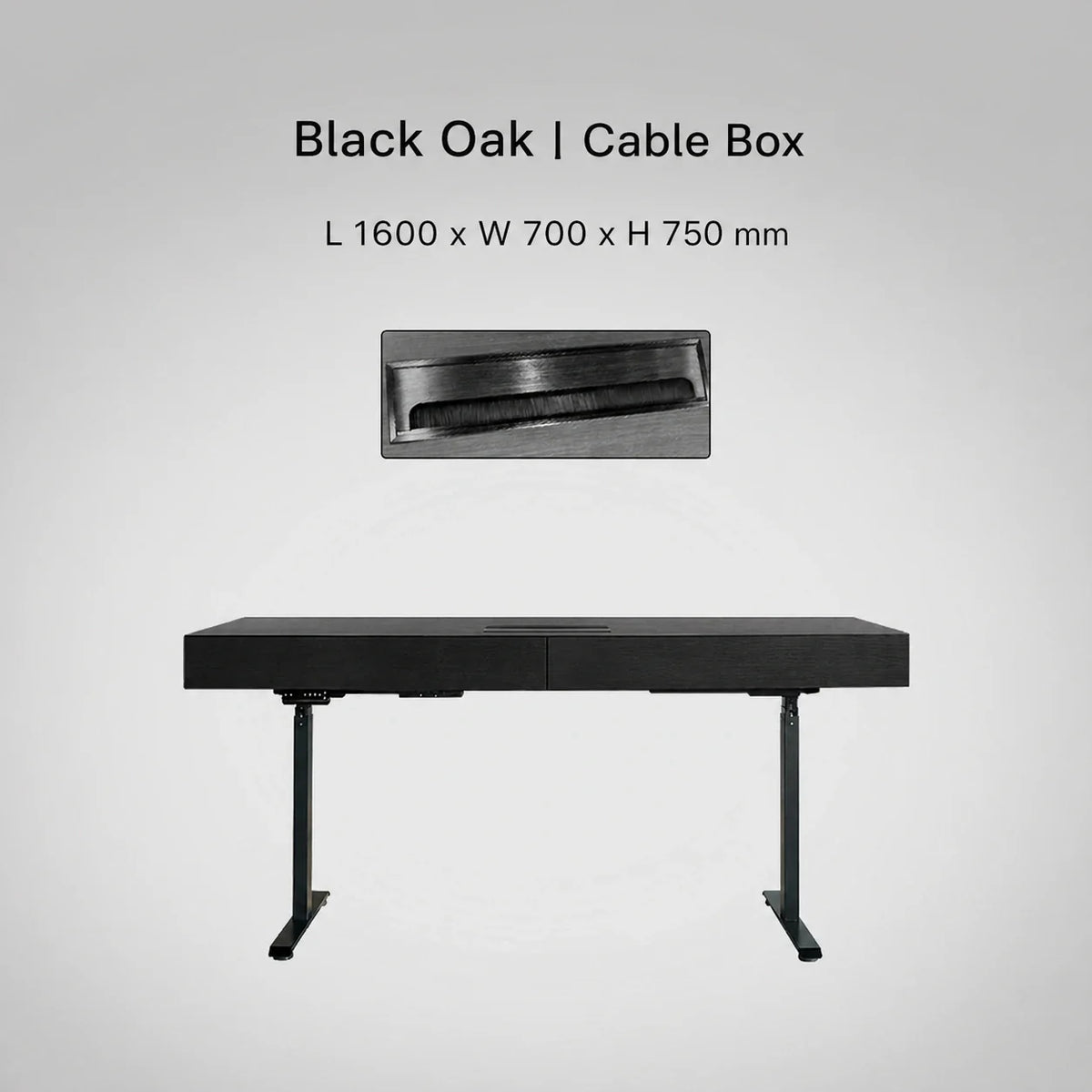 Minimal Italian electric standing desk with cable box, black oak finish, 1600 x 700 x 750 mm