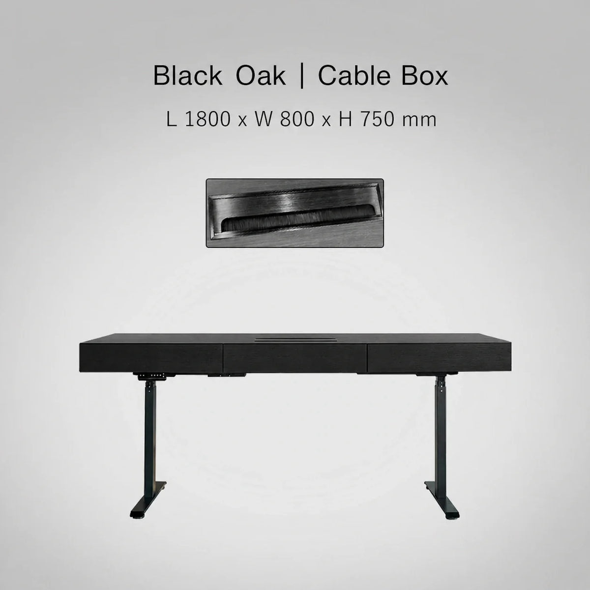 Minimal Italian electric standing desk with cable box, black oak finish, 1800 x 800 x 750 mm