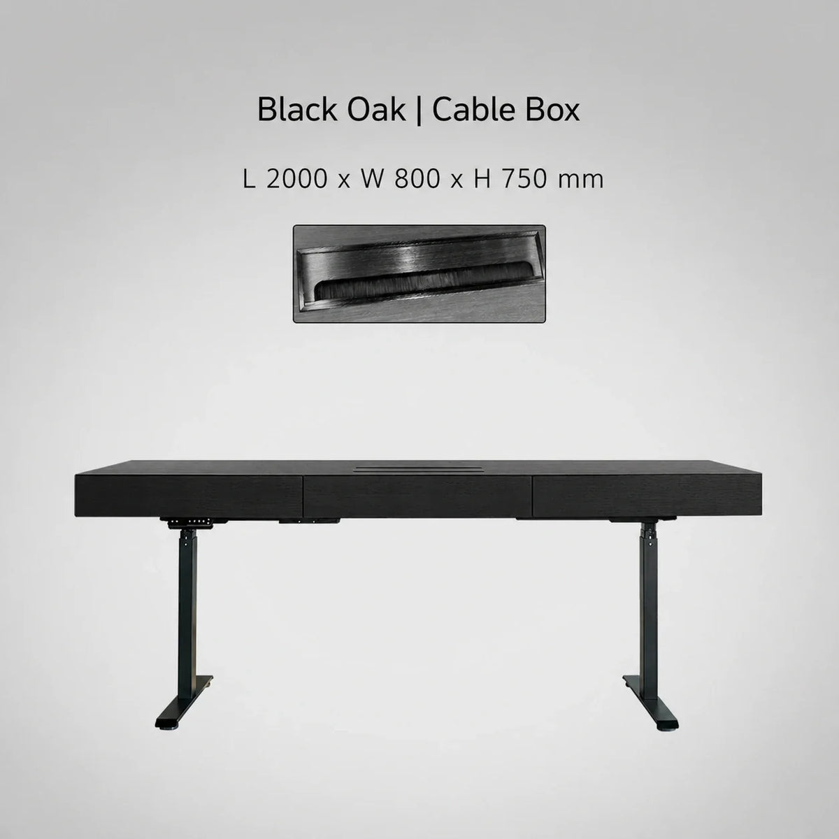 Minimal Italian electric standing desk with cable box, black oak finish, 2000 x 800 x 750 mm