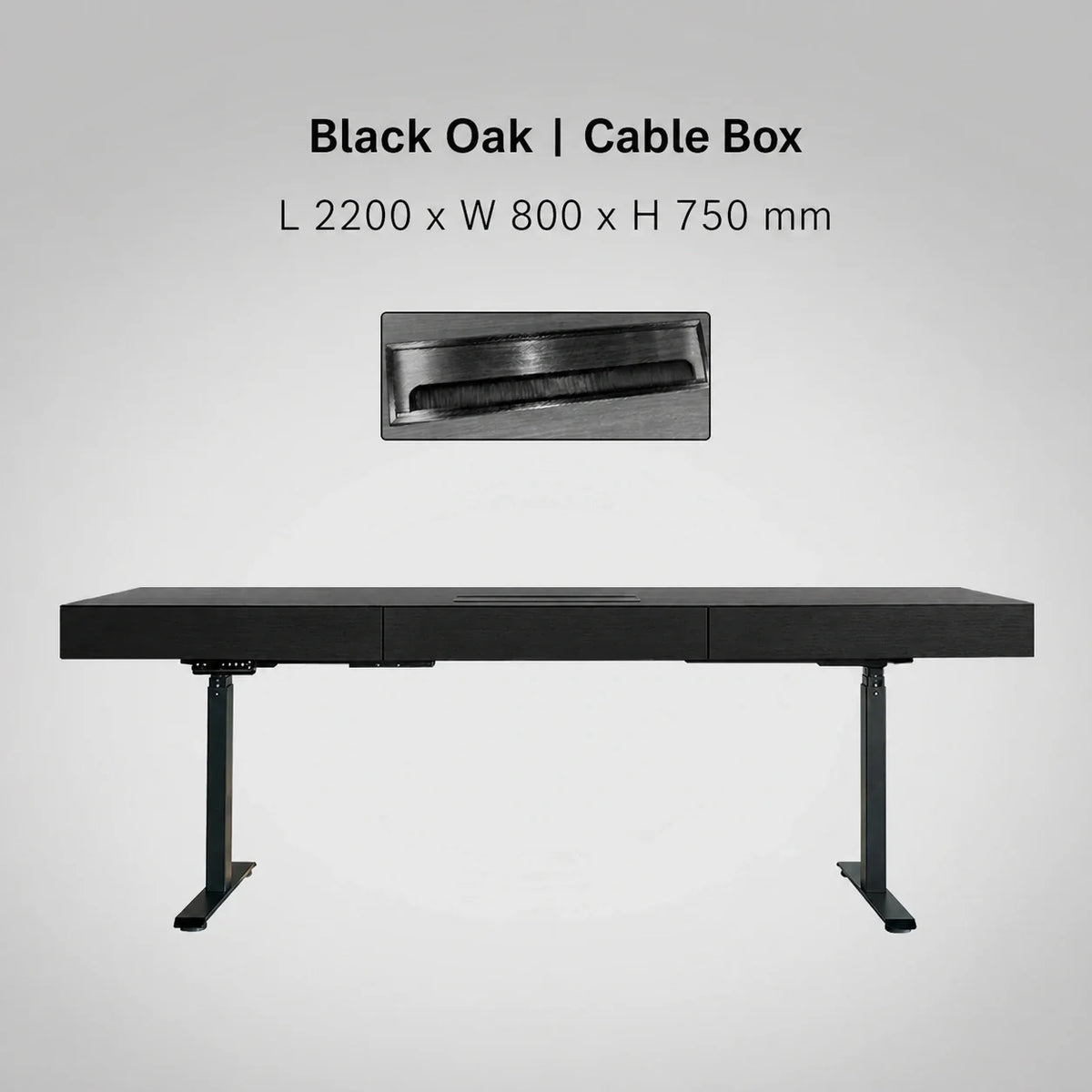 Minimal Italian electric standing desk with cable box, black oak finish, 2200 x 800 x 750 mm