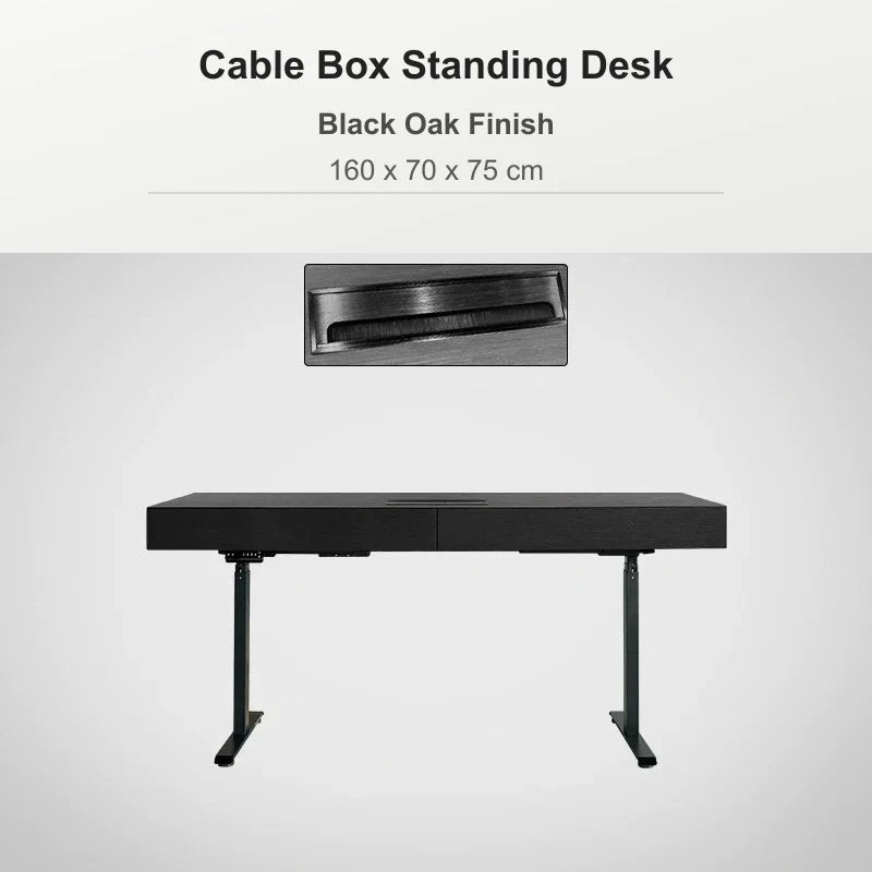 Cable box standing desk 160 x 70 x 75 cm in black oak