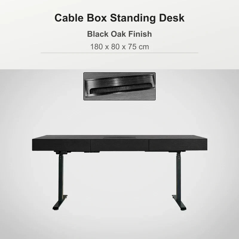 Cable box standing desk 180 x 80 x 75 cm in black oak
