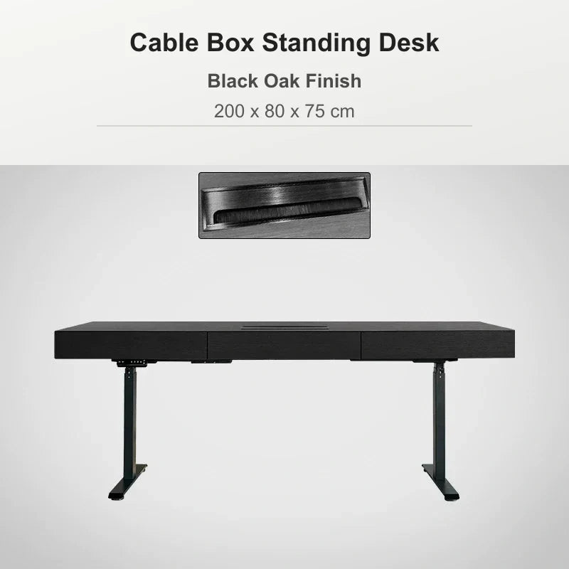 Cable box standing desk 200 x 80 x 75 cm in black oak