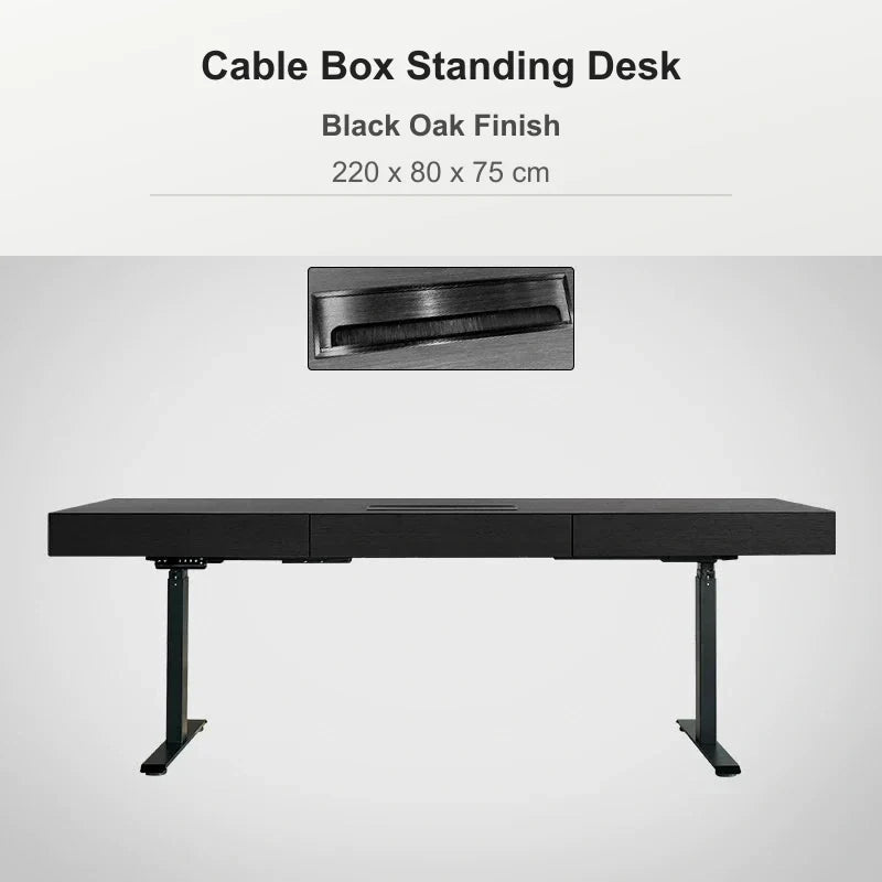Cable box standing desk 220 x 80 x 75 cm in black oak