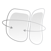 Adaptive Dual-Wing Support