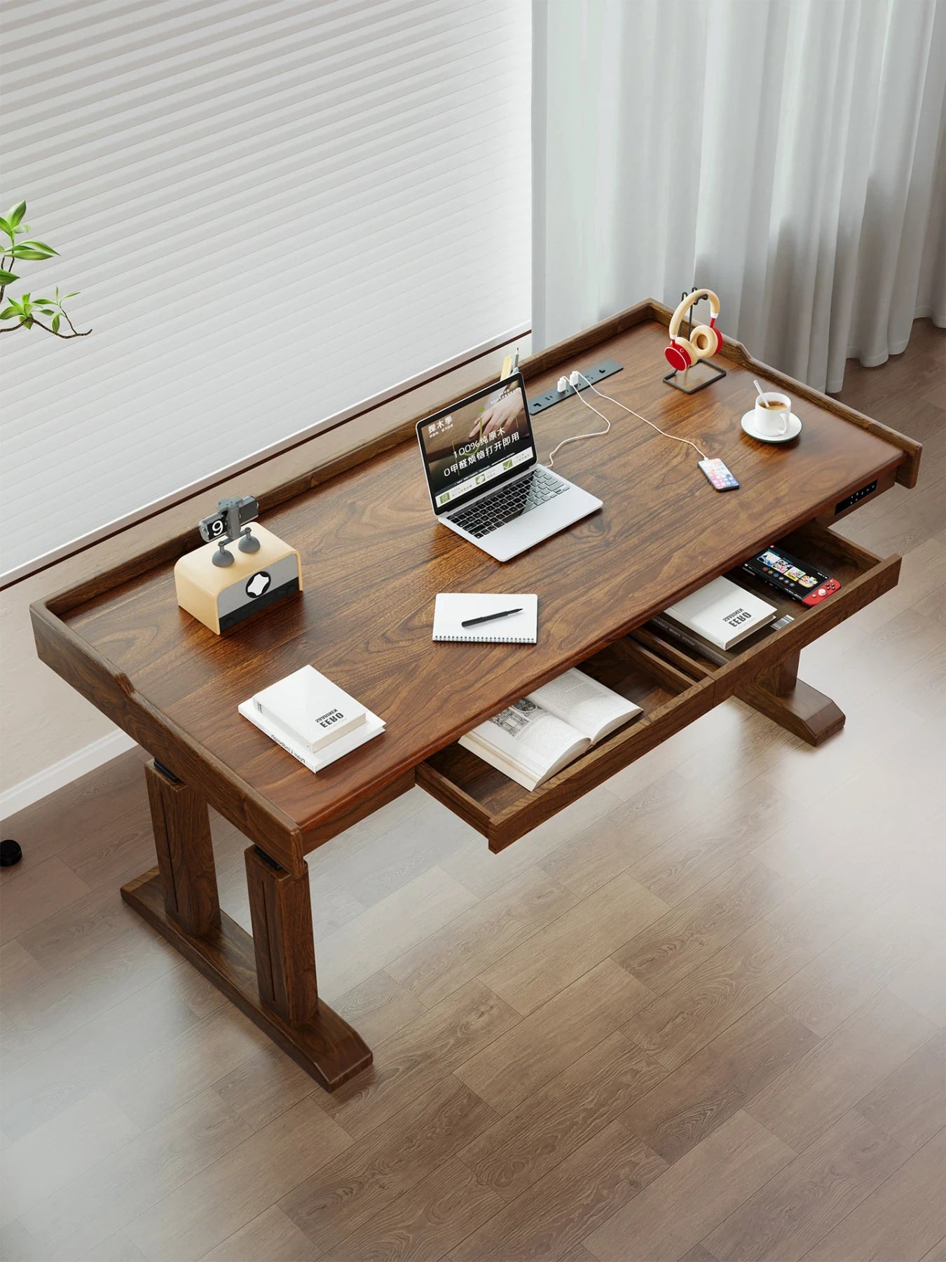 TT29 solid wood electric standing desk viewed from above
