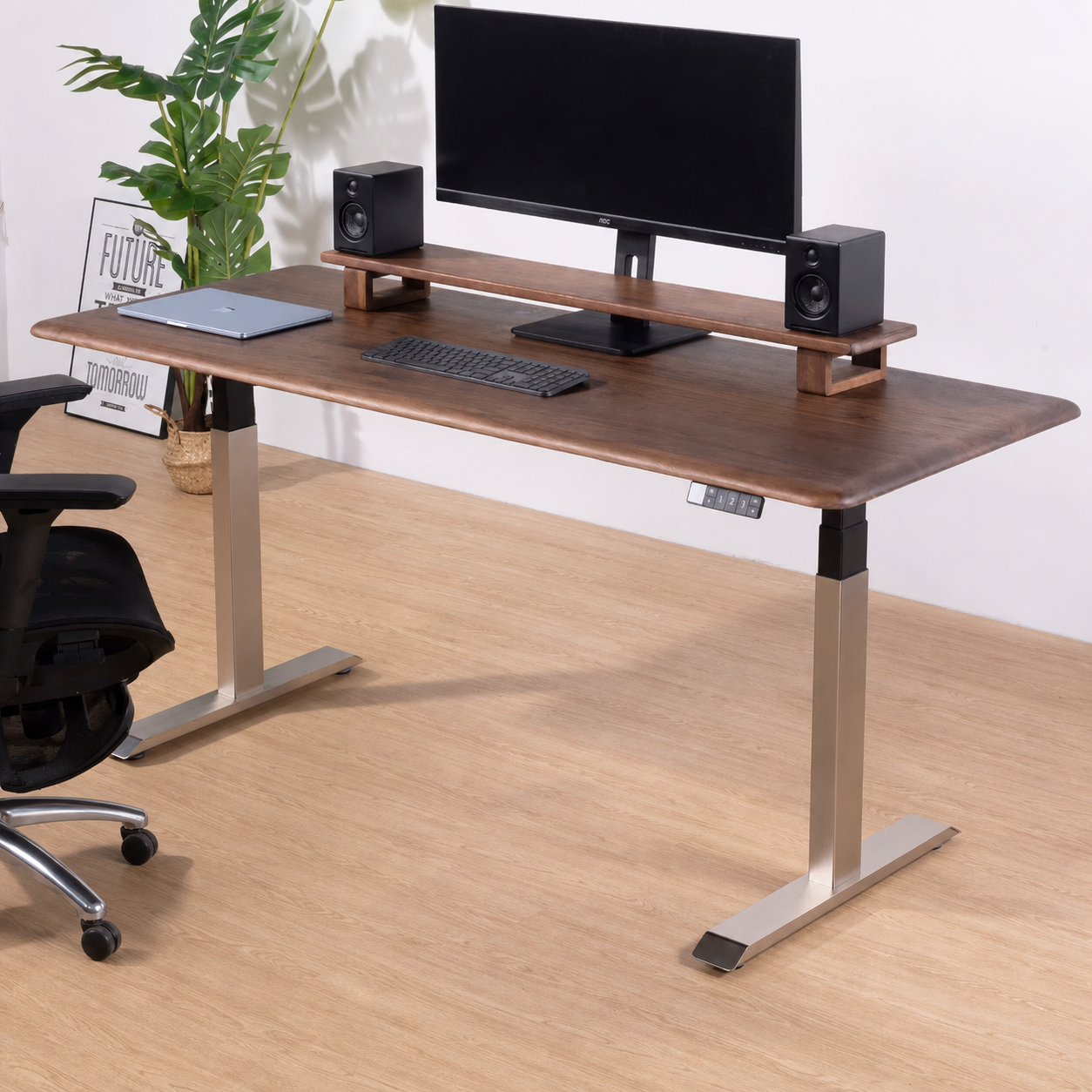 Solid Black Walnut Electric Standing Desk with Dual or Four Motors - Premium Series / Dual Motor / 32 mm Top