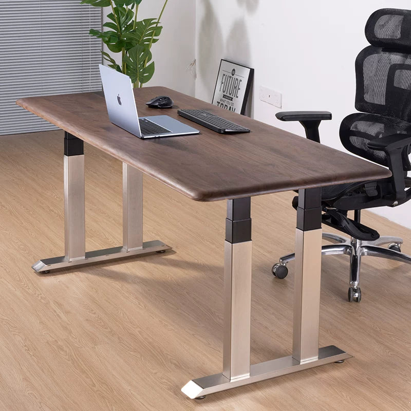 Solid Black Walnut Stainless-Look Electric Standing Desk export-series four-motor frame