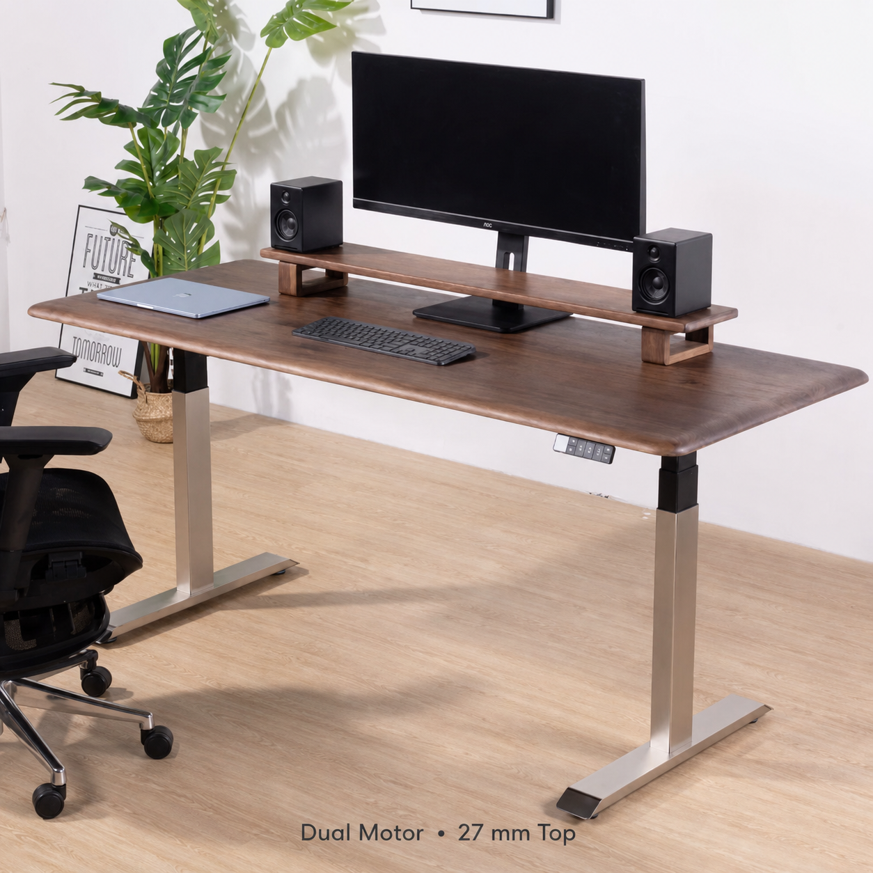 Solid Black Walnut Stainless-Look Electric Standing Desk premium dual motor with 27 mm top