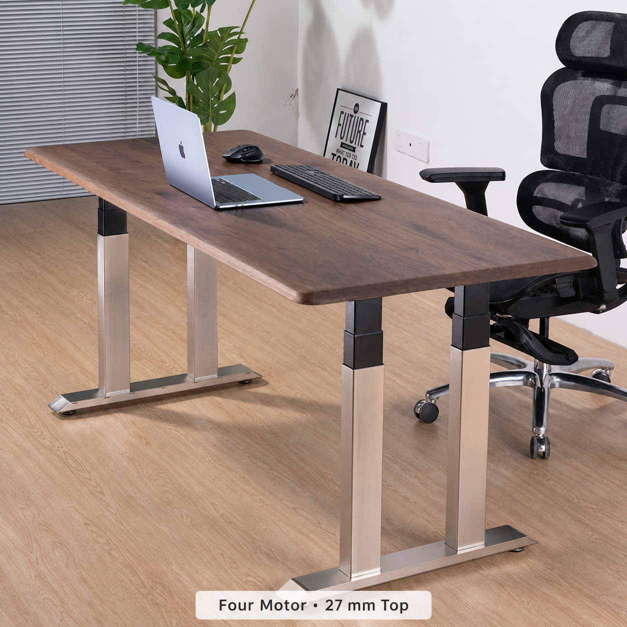 Solid Black Walnut Stainless-Look Electric Standing Desk premium four motor with 27 mm top
