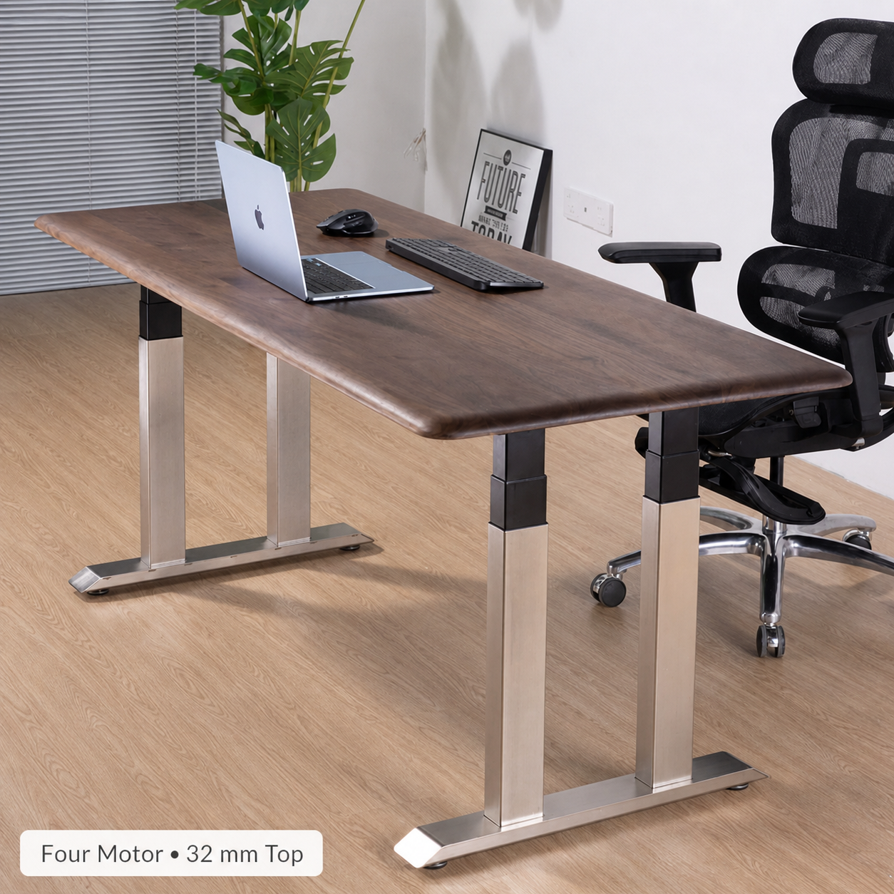 Solid Black Walnut Stainless-Look Electric Standing Desk premium four motor with 32 mm top