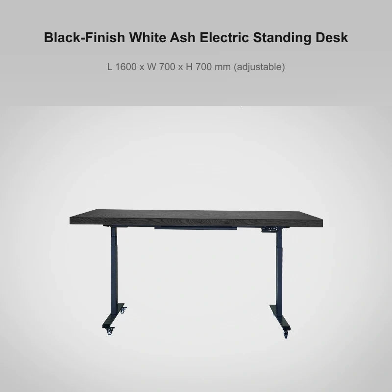 Black-finish white ash electric standing desk, 1600 x 700 x 700 mm