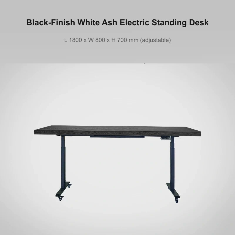 Black-finish white ash electric standing desk, 1800 x 800 x 700 mm
